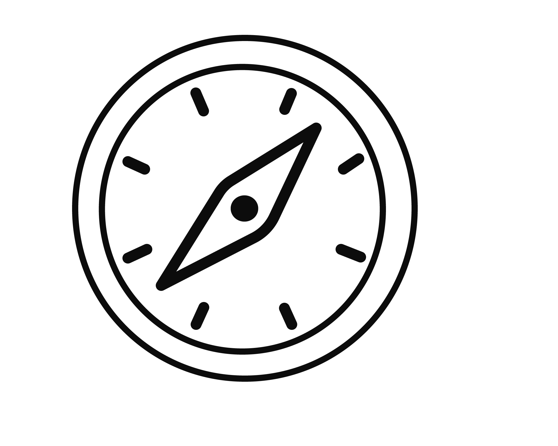 safari-tinified.webp